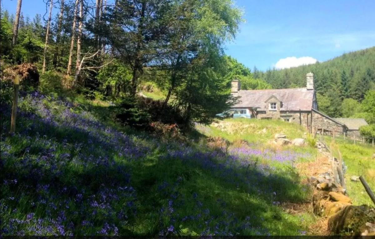 Tyn Y Simdde - Secluded Mountain Stay - Stunning Views Of Eryri ดอลเกซเซย์ ภายนอก รูปภาพ