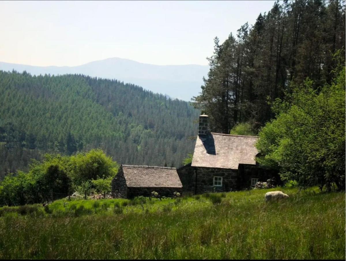 Tyn Y Simdde - Secluded Mountain Stay - Stunning Views Of Eryri ดอลเกซเซย์ ภายนอก รูปภาพ